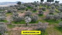 Resim13393